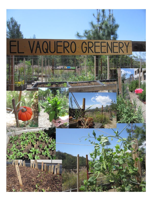 Meet the GCC Garden Club