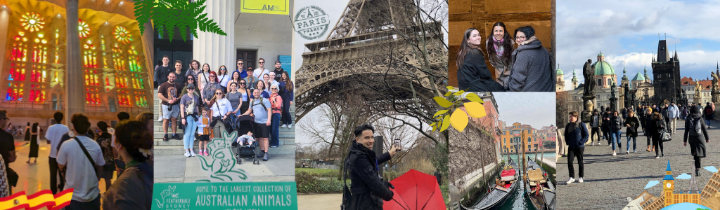 Study abroad photo collage 2025