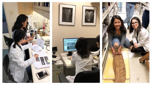 Photos of Student Research Interns at NHMLA