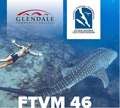FTVM 46